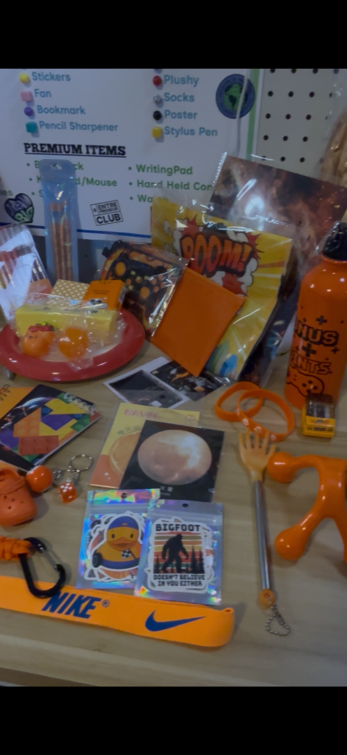 🍊✨ Broluckyscoops Orange Mystery Box ✨🍊